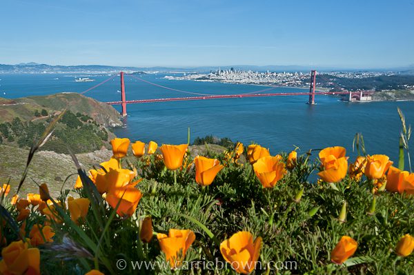 View of Golden Gate Bridge & San Francisco from Marin Headlands.