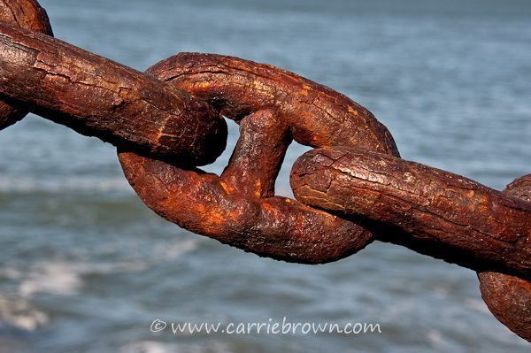 Carrie Brown | Rusty chain