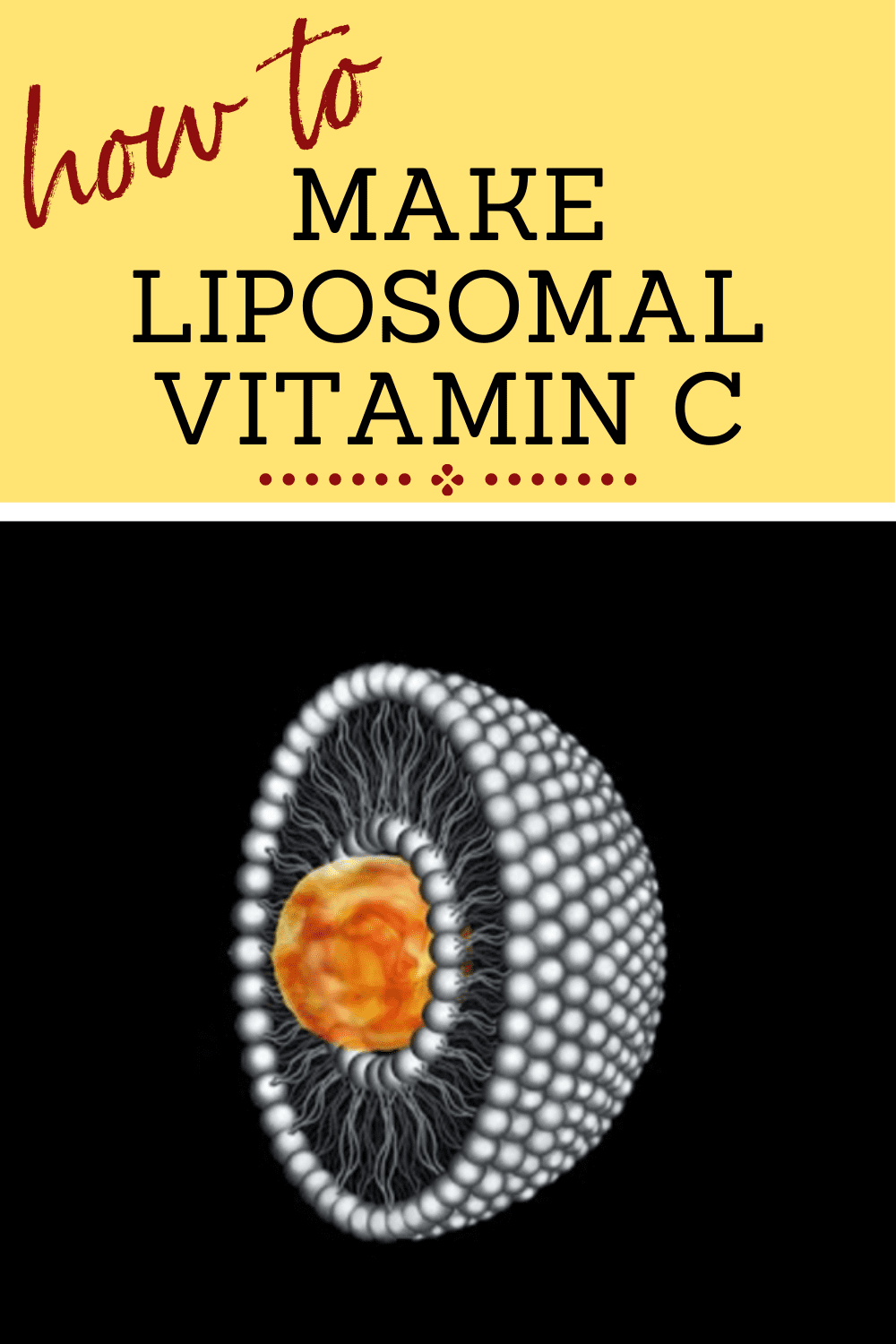 how to make lipo vit c Liposomal Vitamin C (+ VIDEO!)